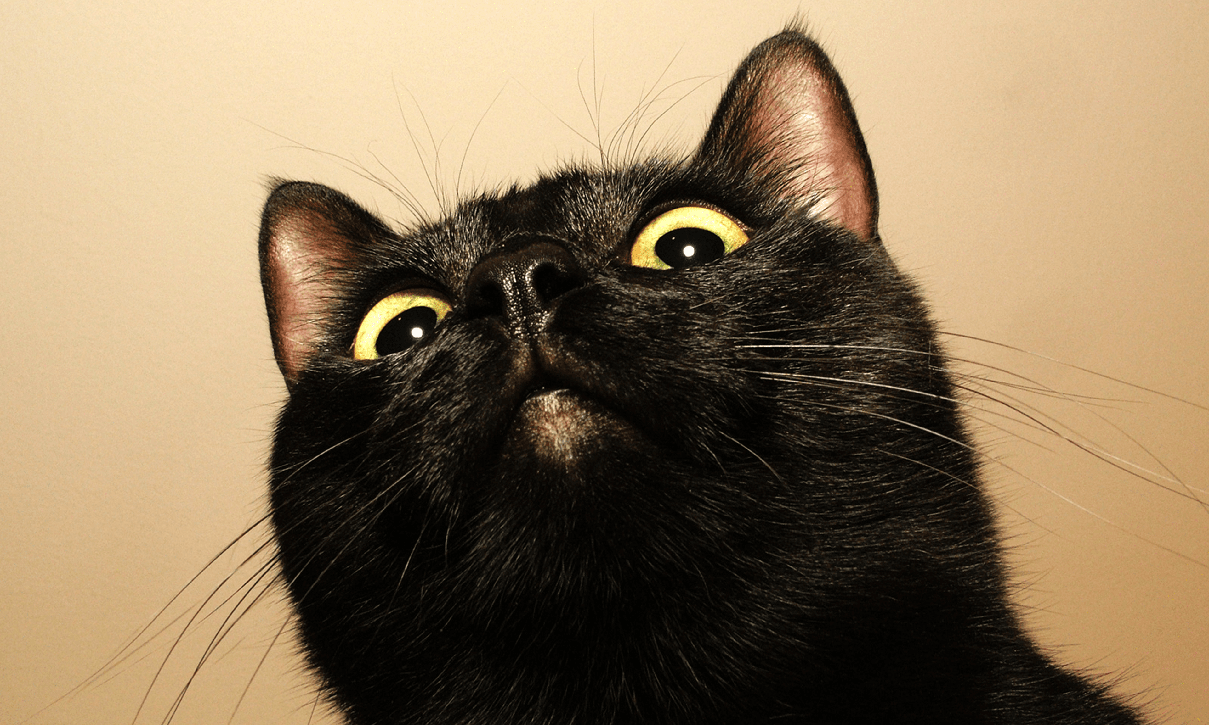 老後資金シミュレーターのヒーローイメージ