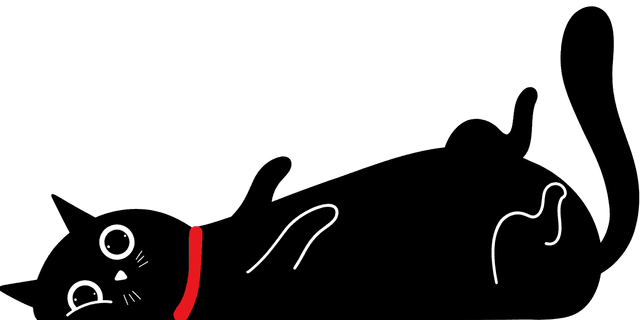 辛口アドバイザーの KIKI